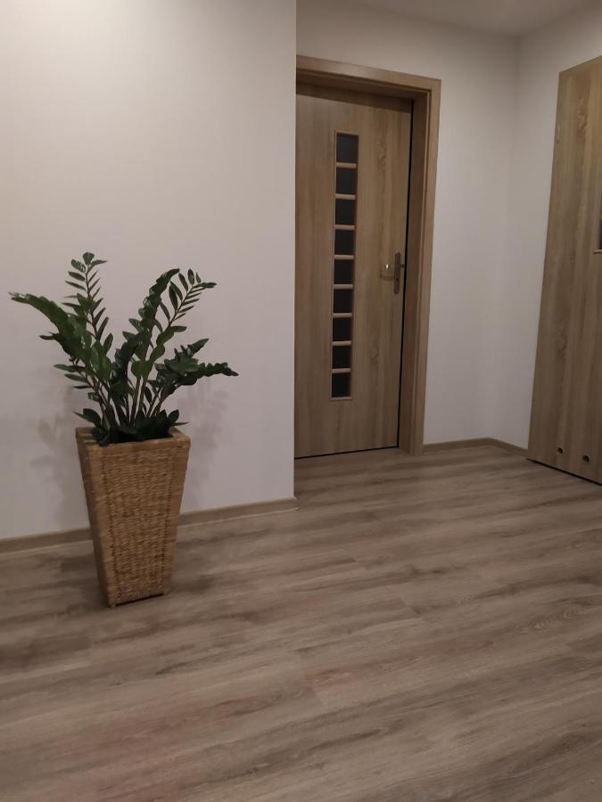 ילנייה גורה Apartament Kaola מראה חיצוני תמונה